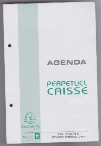 Exacompta  38978E  Recharge mobiles pour AGENDA  perpétuel caisse perforée 24x16cm