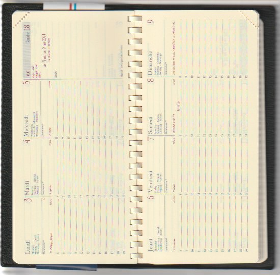 Agenda semainier 8,8x17cm spiralé Quo Vadis Planital Impala avec