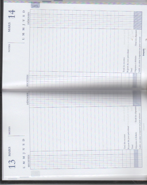 Agenda Perpétuel de Caisse avec recette et dépense