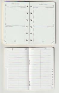 Recharge agenda Mignon 2 jours par page tranche or  12230M AK12