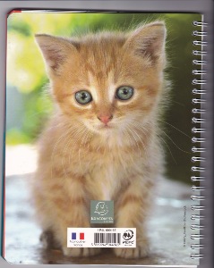 forum chat gratuit salopes au bureau forum chat gratuit salopes au bureau